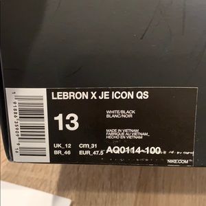 John Elliot limited edition Lebron Icon